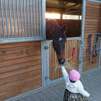 Pálení čarodějnic na Rymáňském vršku