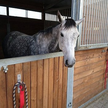Pálení čarodějnic na Rymáňském vršku