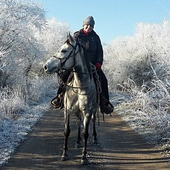 Travička zelená to je moje potěšení...
