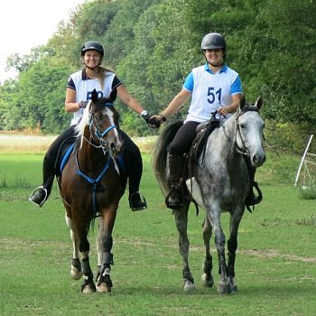 Hermína ENDURANCE ZM-Z