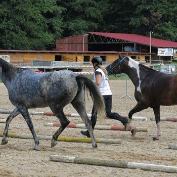 Hermína ENDURANCE ZM-Z