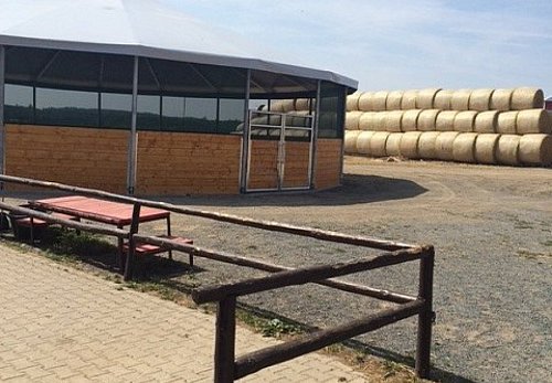 Výstavba kryté lonžovací haly