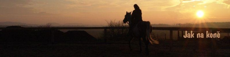 Jak na koně - firma zabývající se výcvikem koní, obsedáním mladých koní a výcvikem jezdců.